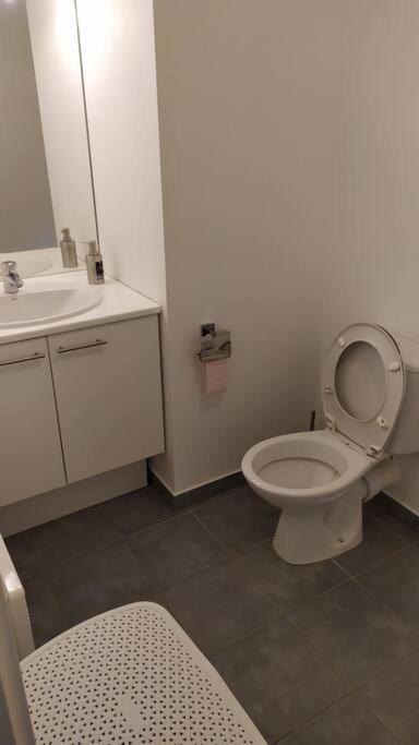 T2 De 42m² A Proximite De La Gare A 30min De Paris Appartement