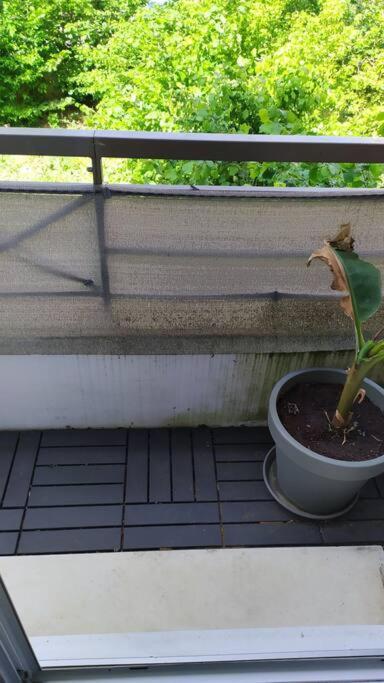 Appartement T2 De 42m² A Proximite De La Gare A 30min De Paris